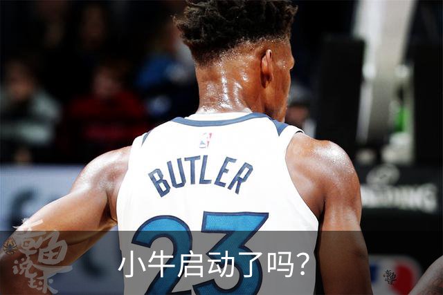 小牛启动了吗？