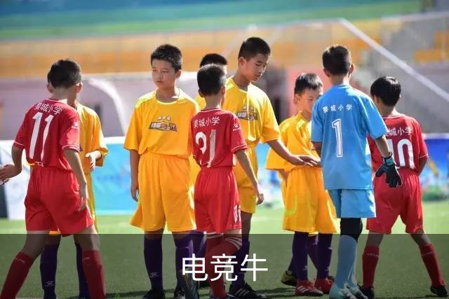 电竞牛公司介绍图片